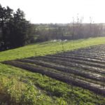 Lombriculteur en Vendée