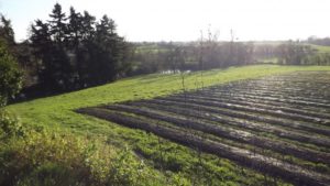 ferme lombricole en Vendée