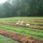 ferme TERRICOLE Lombricompost, en Normandie