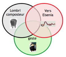 le Lombricompostage selon Vers la Terre