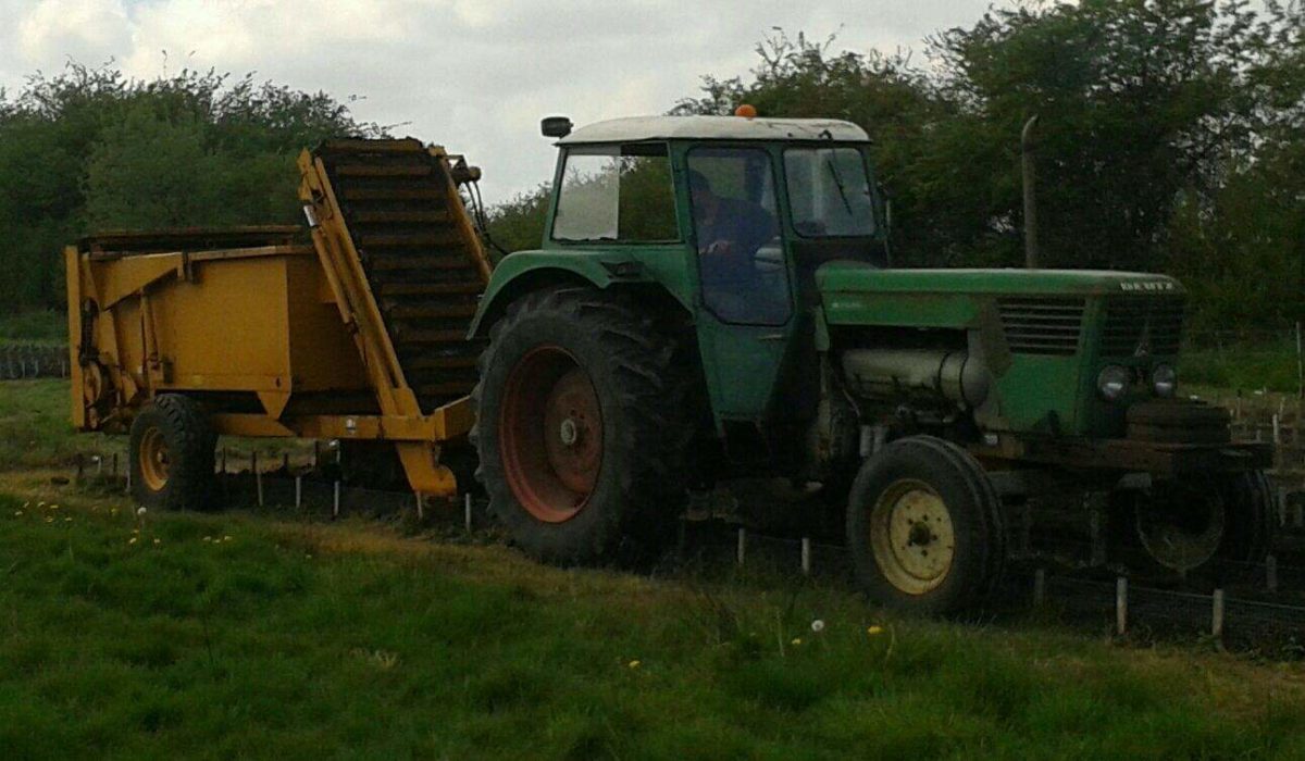 production de lombric compost